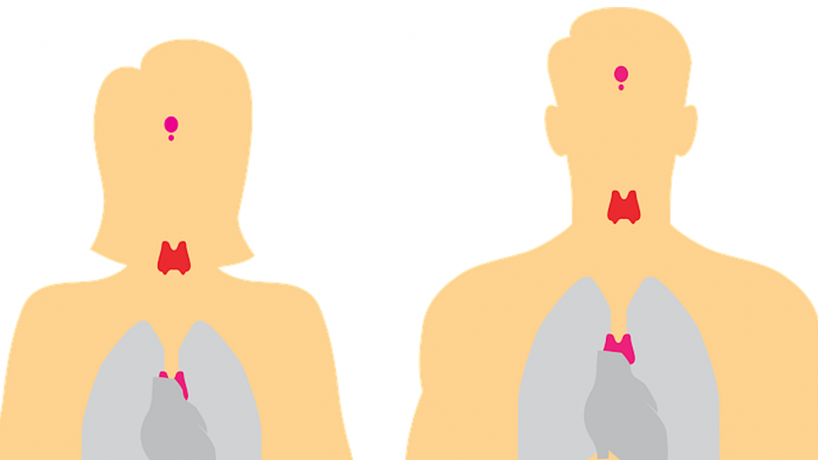 Imagen icónica que representa la localización de la tiroides