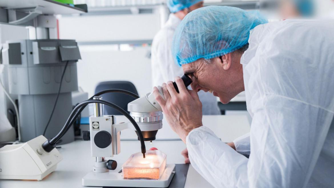 El consejero de Sanidad apoya al sector biofarmacéutico madrileño El consejero de Sanidad, Enrique Ruiz, mira por el microscopio