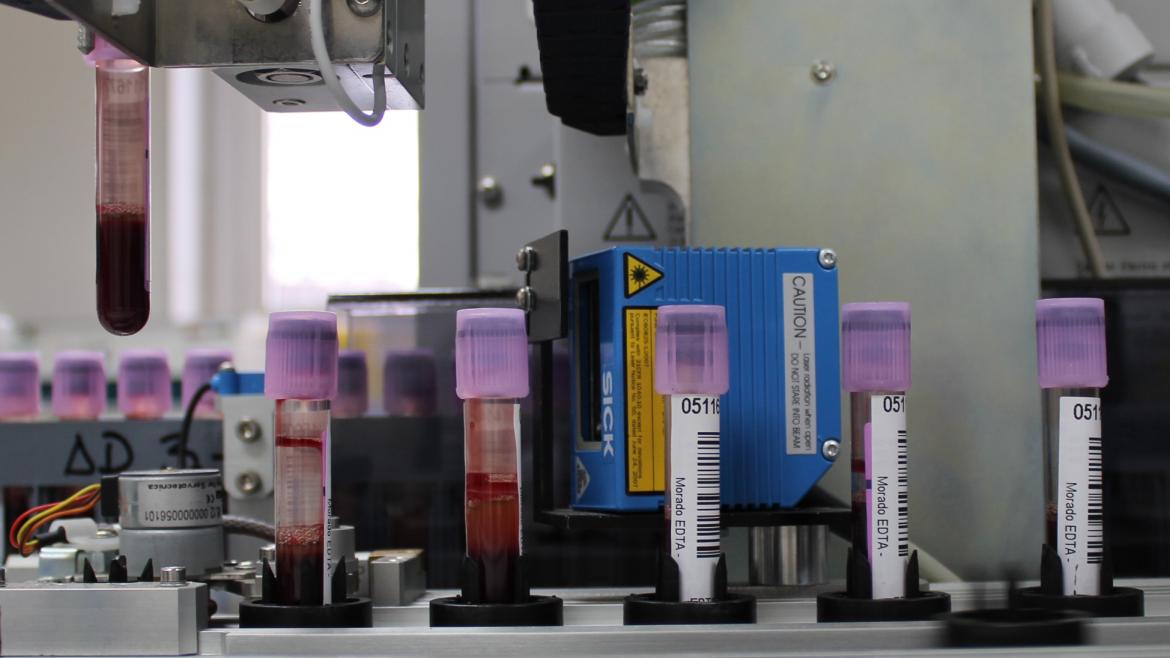 Investigacion Covid