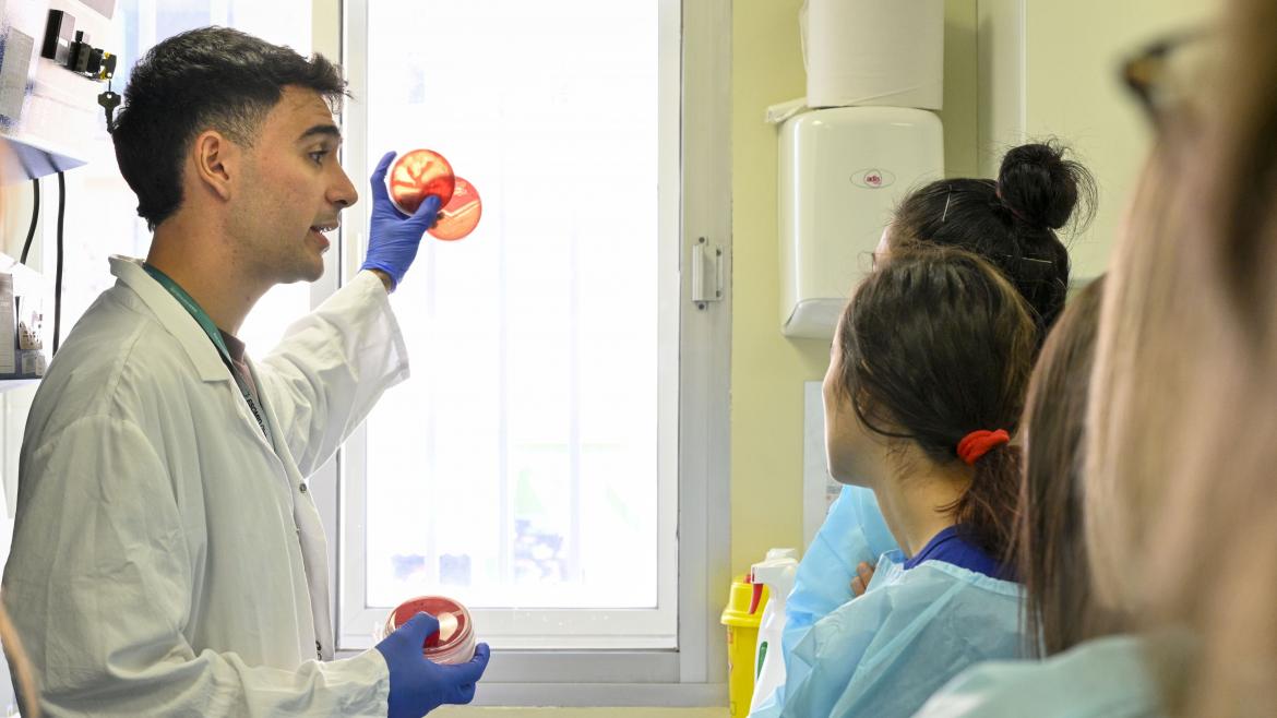 El sanitario muestra unas placas con cultivos del laboratorio de Microbiología