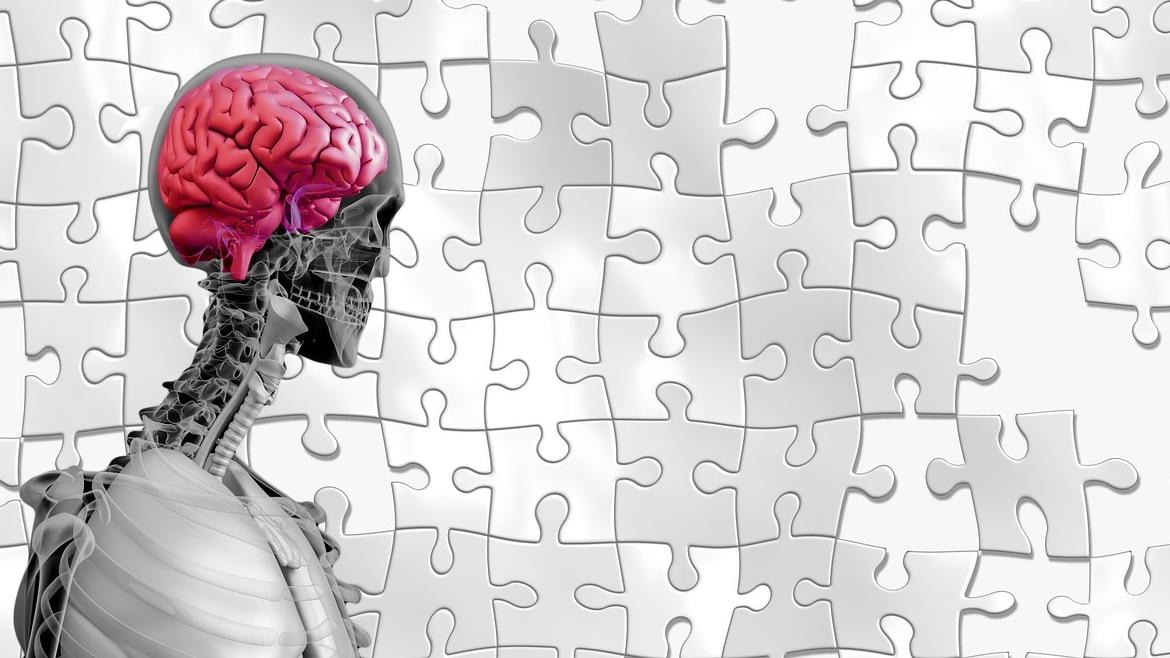 Investigación sobre Enfermedad de Alzheimer