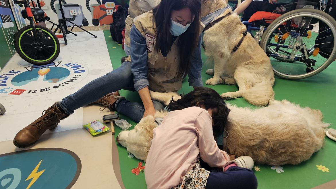 Imagen del artículo El Hospital 12 de Octubre extiende las intervenciones asistidas con perros a niños con tumores cerebrales para favorecer su rehabilitación cognitiva
