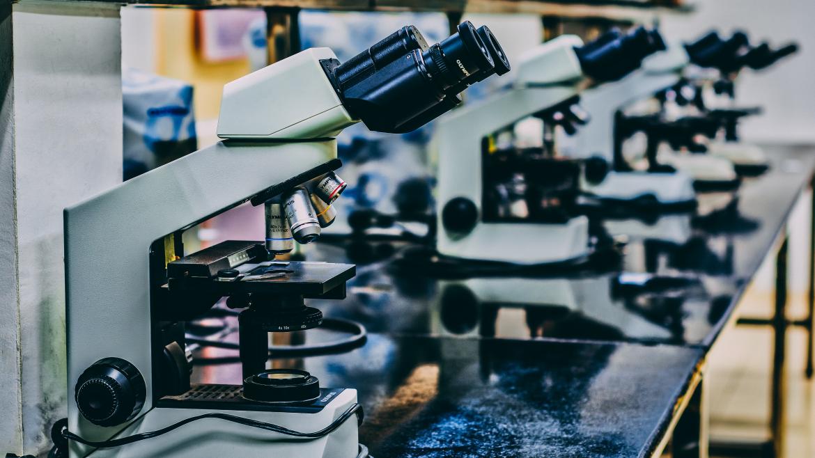 Laboratorio Investigación 