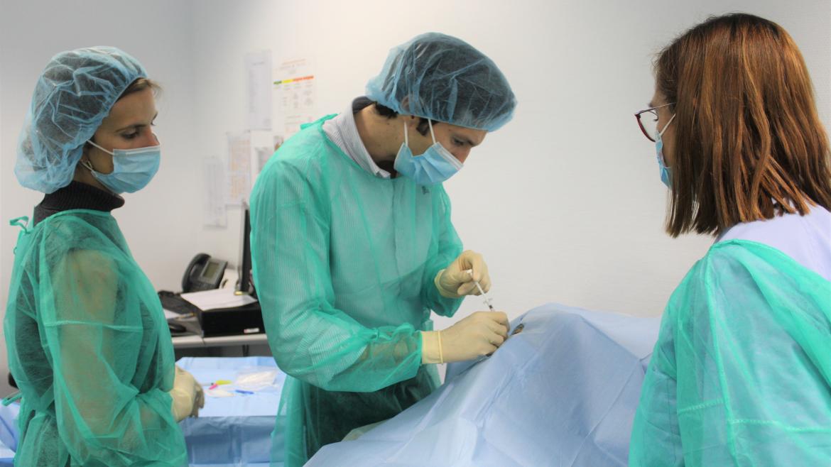 Imagen del artículo El Servicio de Oftalmología del Hospital Puerta de Hierro emplea la terapia génica por primera vez en el marco de un ensayo clínico para la degeneración macular