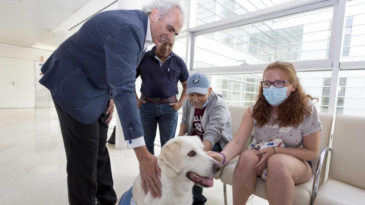 La terapia con perros es beneficiosa para los niños ingresados en los hospitales