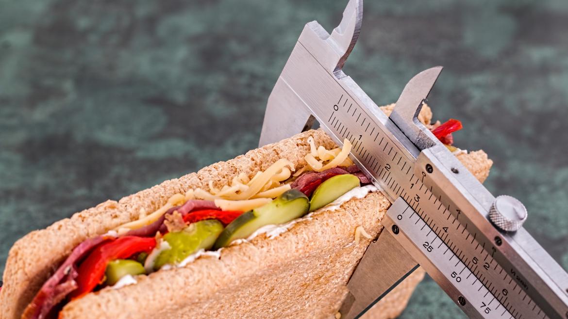Imagen de un sandwich de dieta