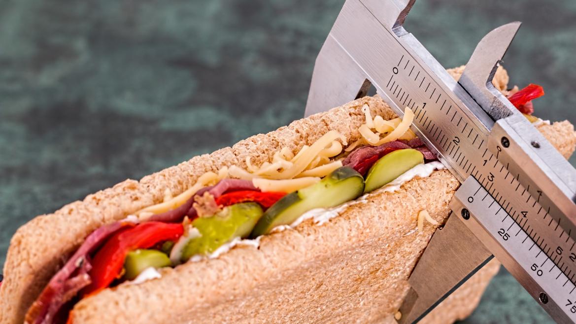 Imagen de un sandwich de dieta