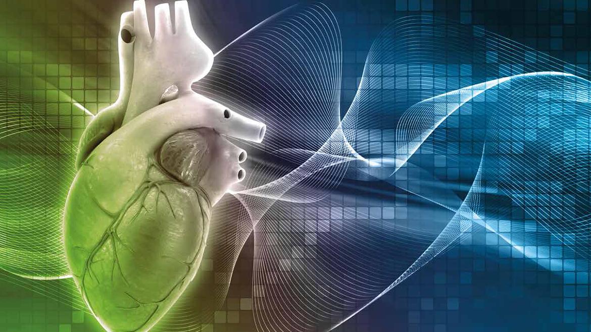 Portada programa XXXI Curso electrocardiografía avanzado