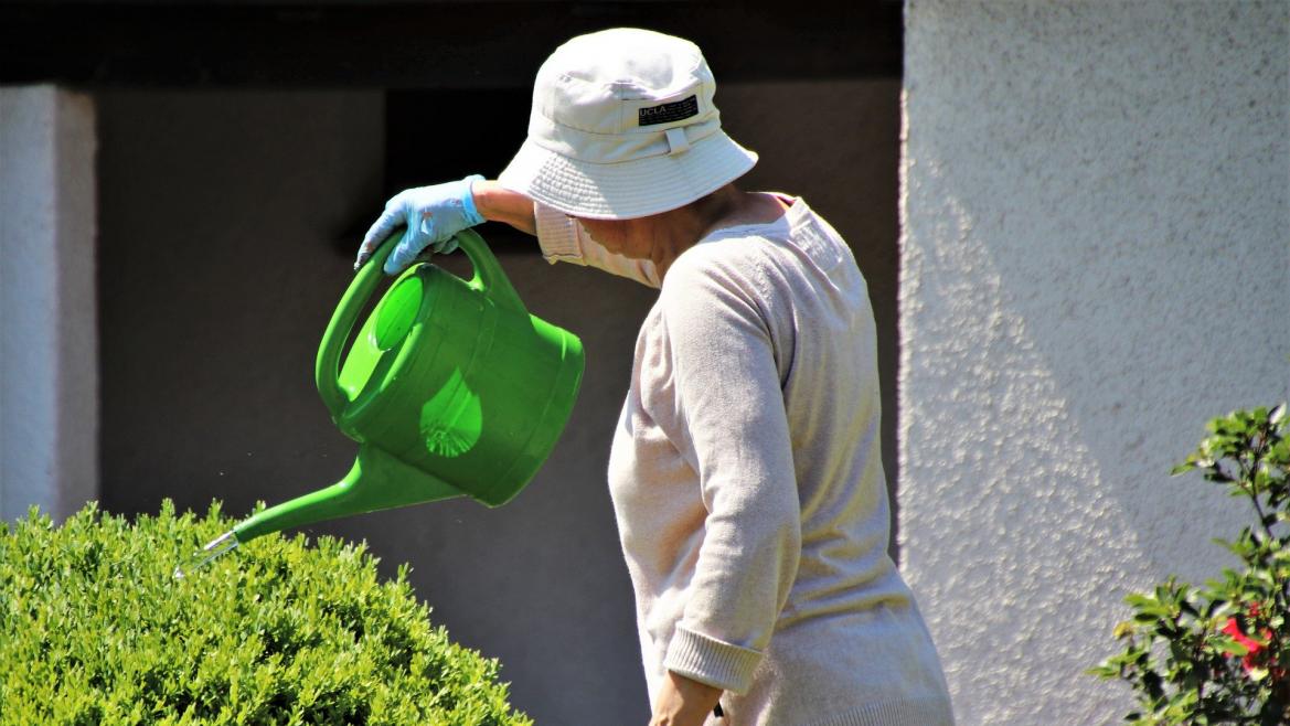 Mujer regando una planta 