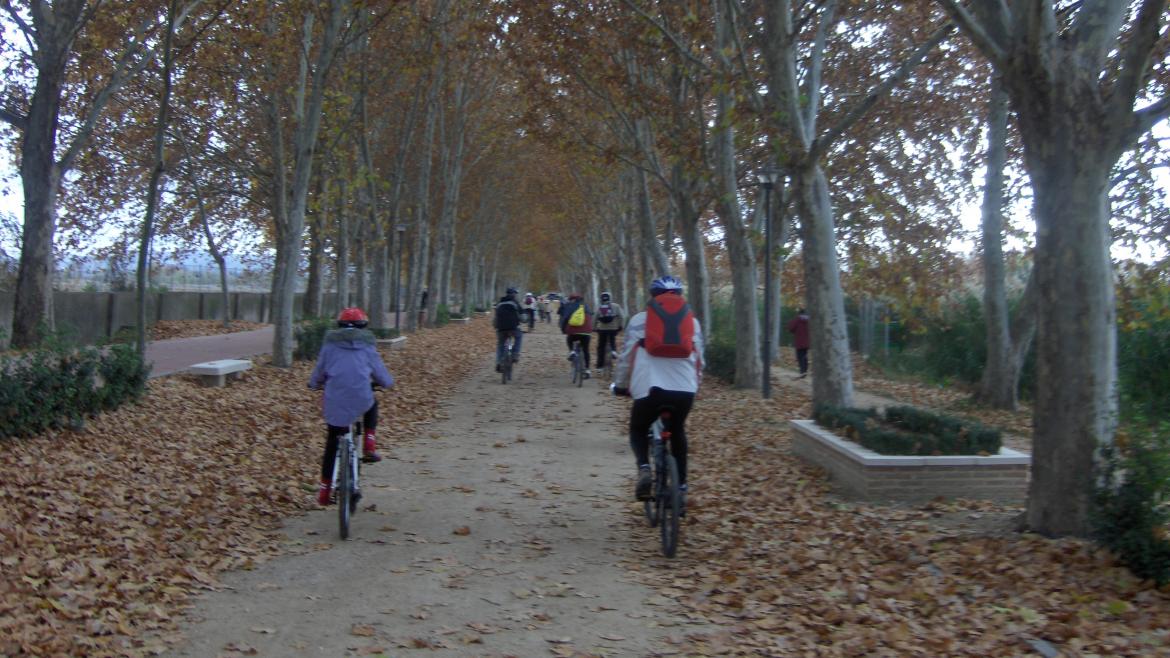 Unos ciclistas en medio de un parque en bicicleta