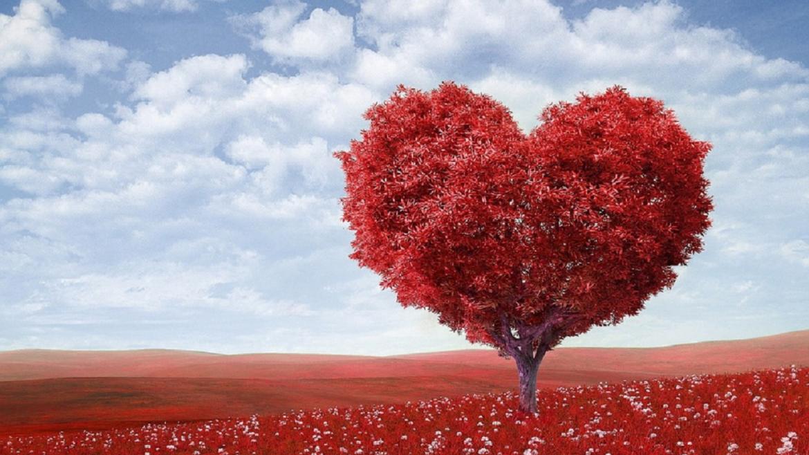 Campo de corazones