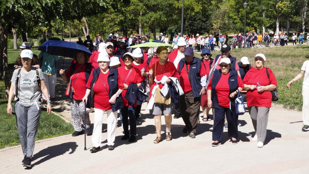 Marcha de mayores de AMAS