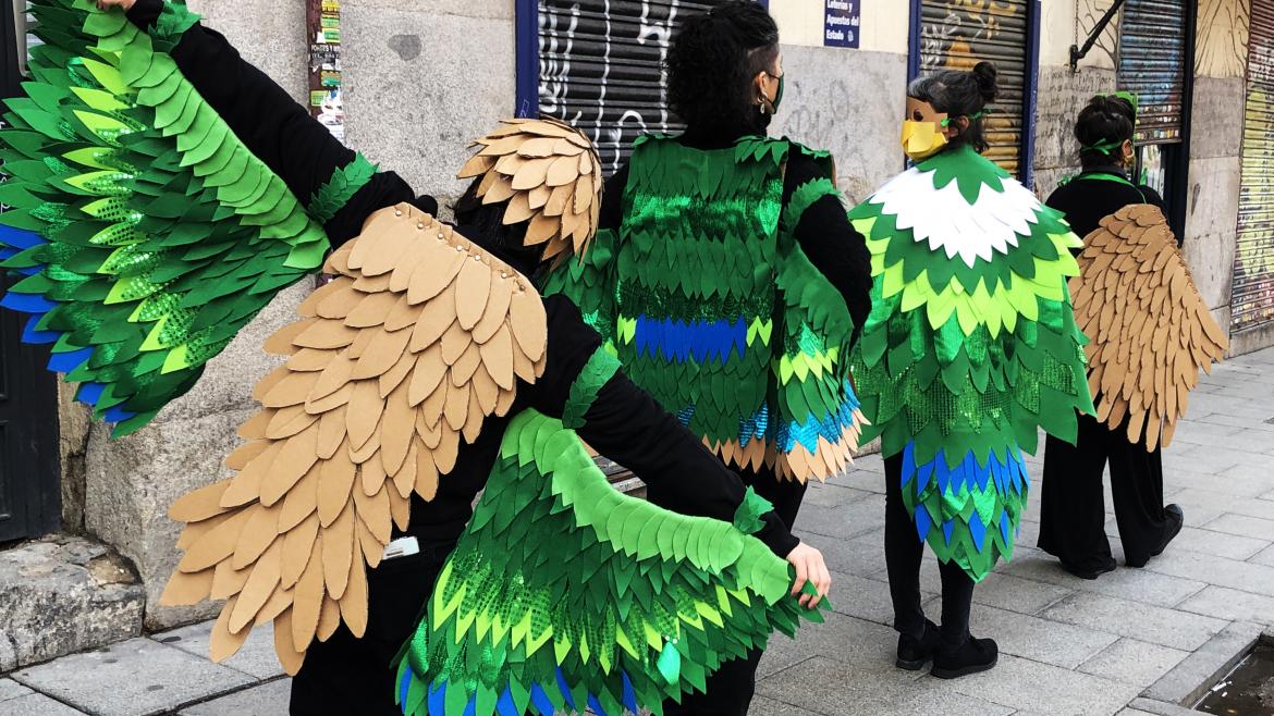 Tomar la forma de pajaro