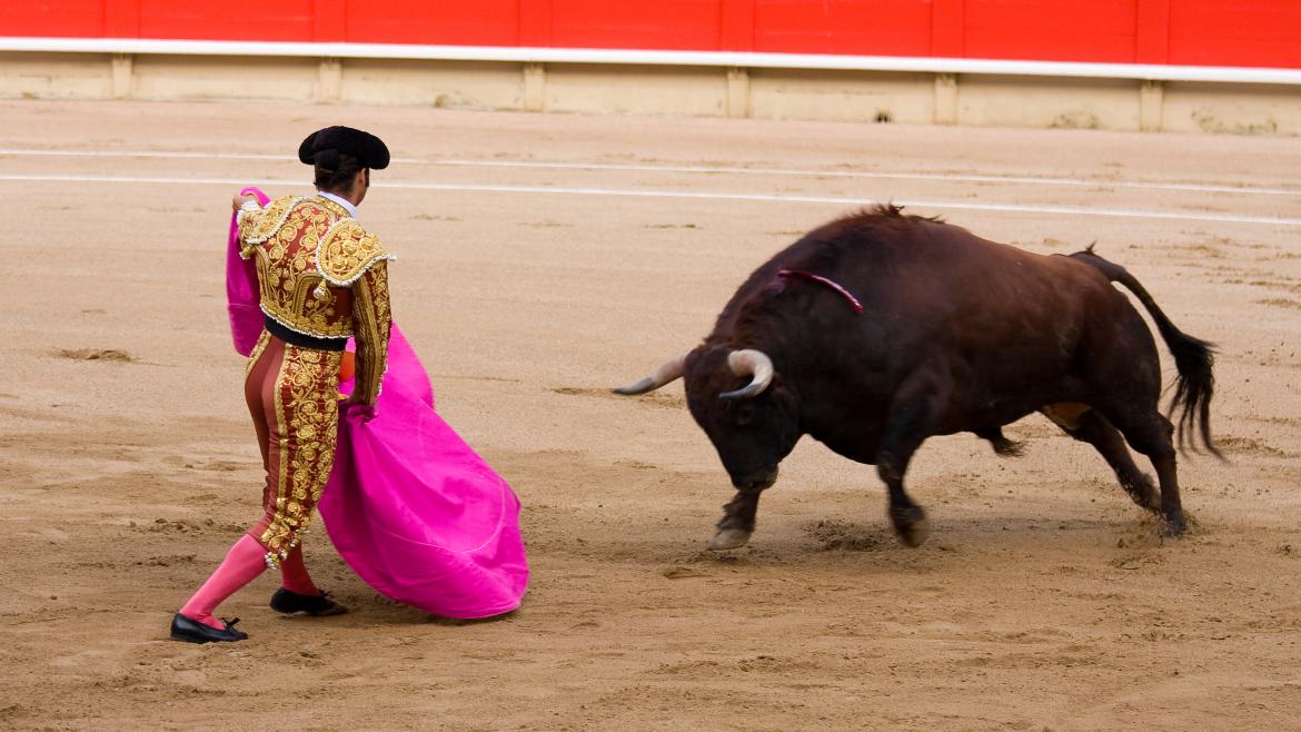 Imagen del artículo La Comunidad de Madrid prepara un nuevo reglamento taurino para ampliar el catálogo de espectáculos populares