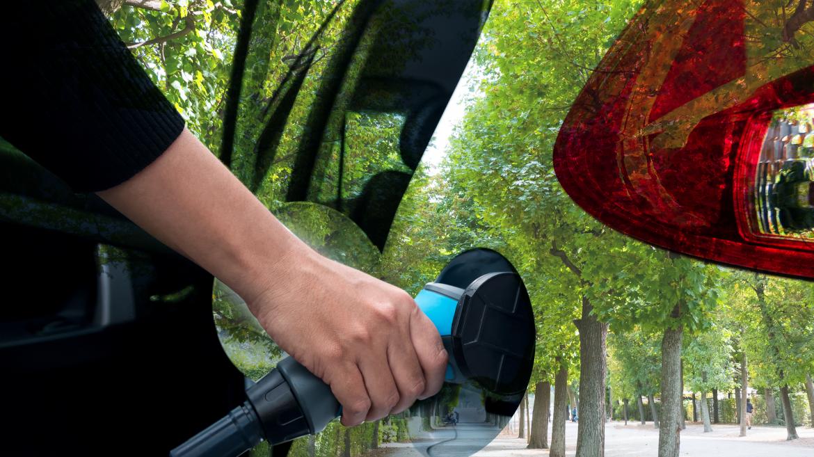 Coche eléctrico