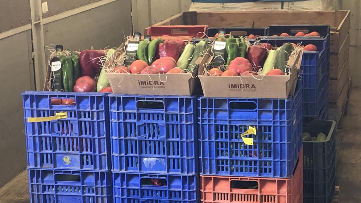 Alimentos donados al Banco de Alimentos de Madrid