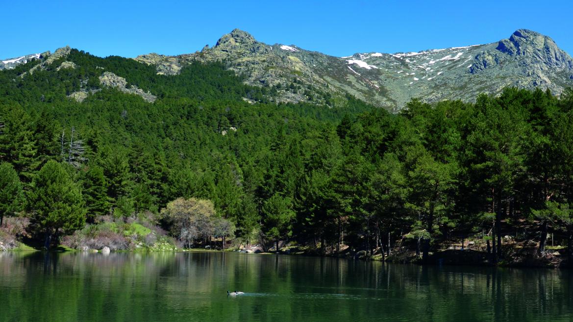 Desarrollamos un proyecto pionero para disminuir la huella de carbono en la Sierra de Guadarrama