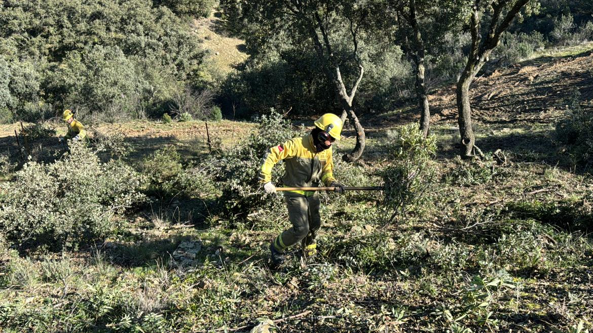 Imagen del artículo La Comunidad de Madrid despliega 25 retenes forestales y más 300 efectivos para la prevención de incendios