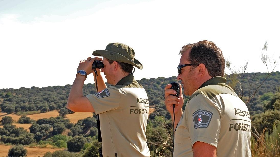 Dos agentes prismáticos monte