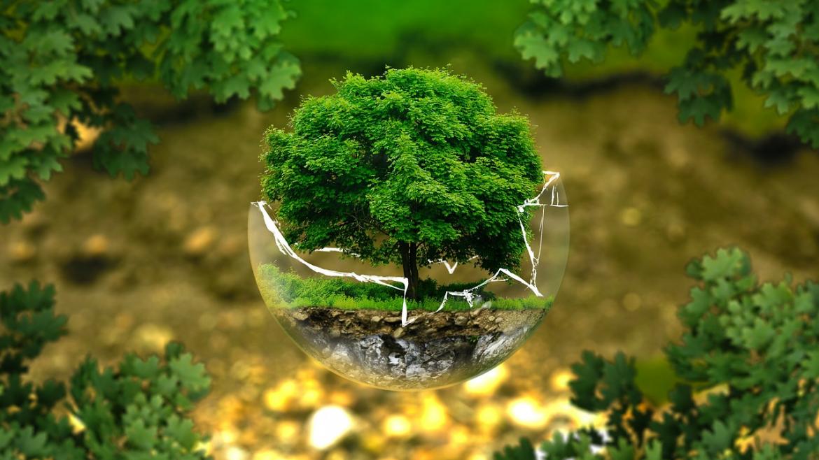 Medio ambiente