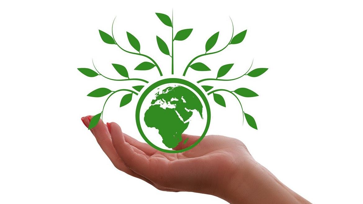 Mano sostiene bola del mundo planta