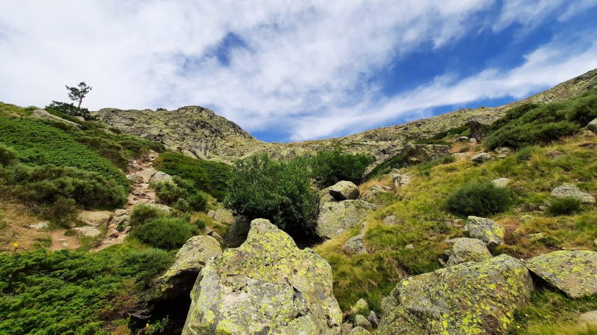 paisaje Parque Nacional Sierra Guadarrama