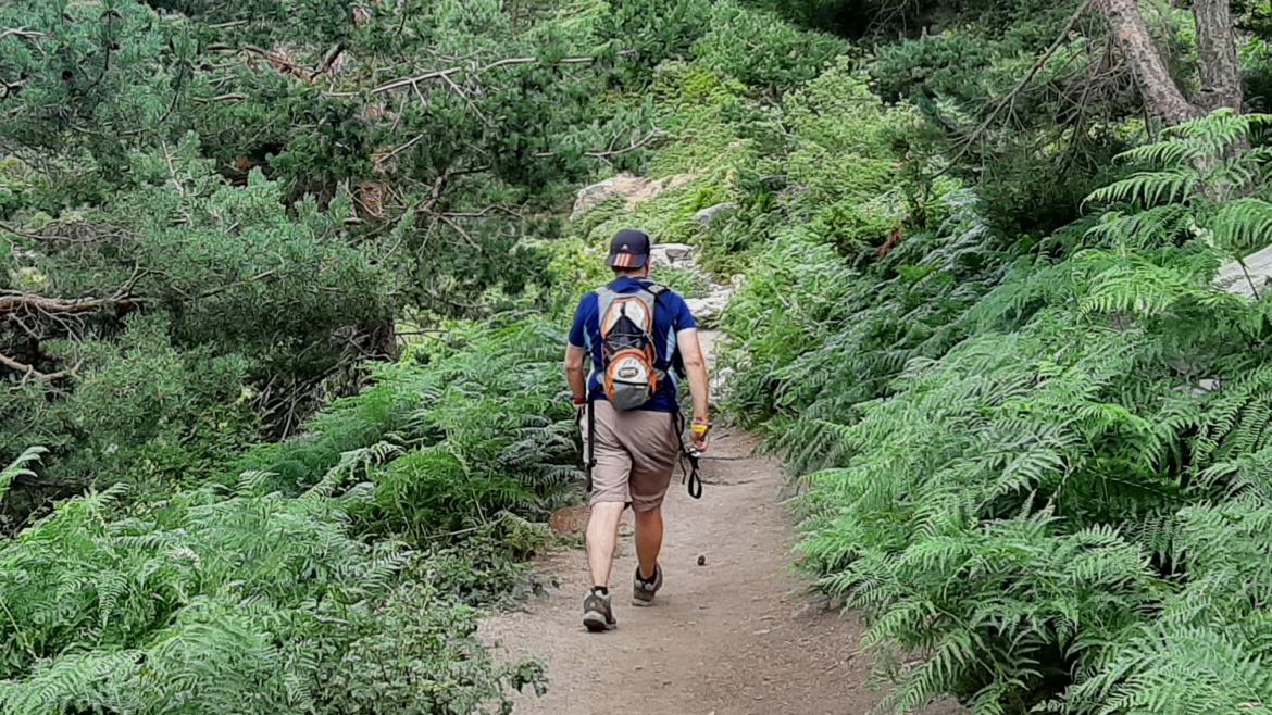 Senderista caminando en el bosque, en el kilómetro 13 de la Ruta Verde Peñalara