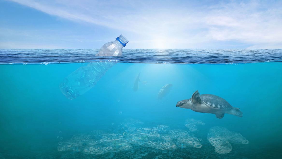 Plástico mar naturaleza tortuga agua