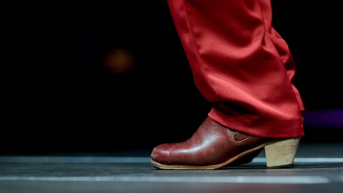 Zapatos marrones flamenco