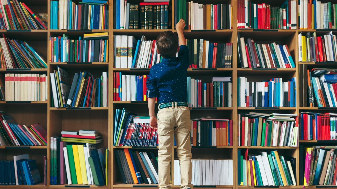 libros biblioteca educación