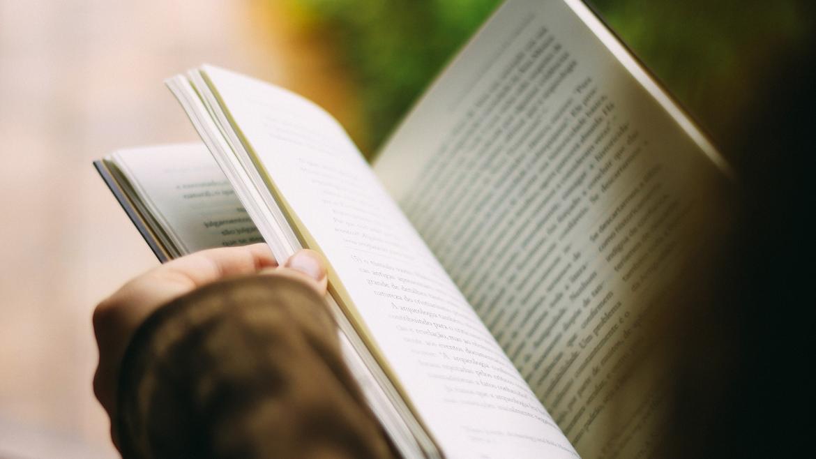 Páginas libro 
