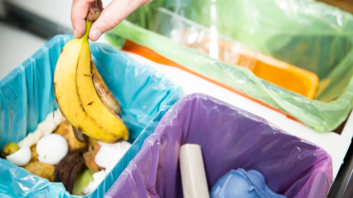 Reciclaje doméstico Reciclaje doméstico