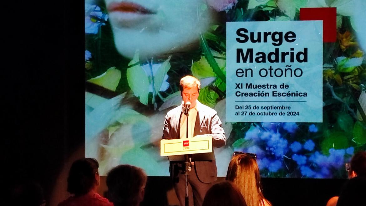 El viceconsejero Luis Martín durante la presentación del festival Surge Madrid en Otoño