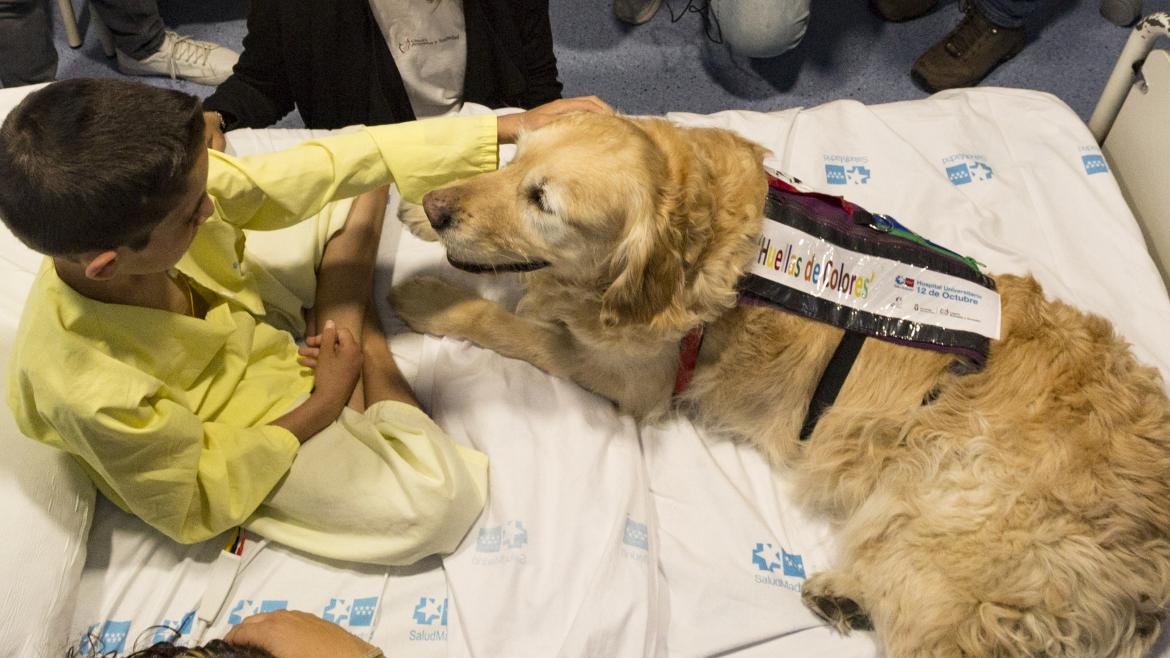 Terapia asistida con perros