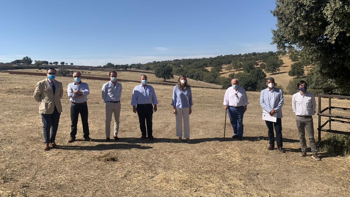 La Comunidad de Madrid destinará 4,5 millones en ayudas para apoyar a las ganaderías madrileñas de toro de lidia