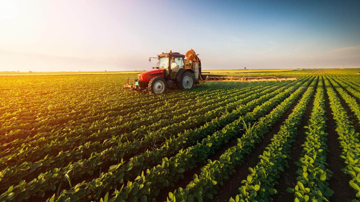 Campo tractor agricultura