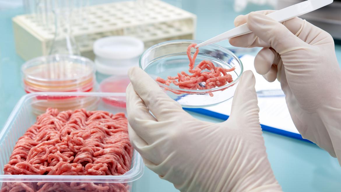 Análisis de carne en un laboratorio Análisis de carne en un laboratorio