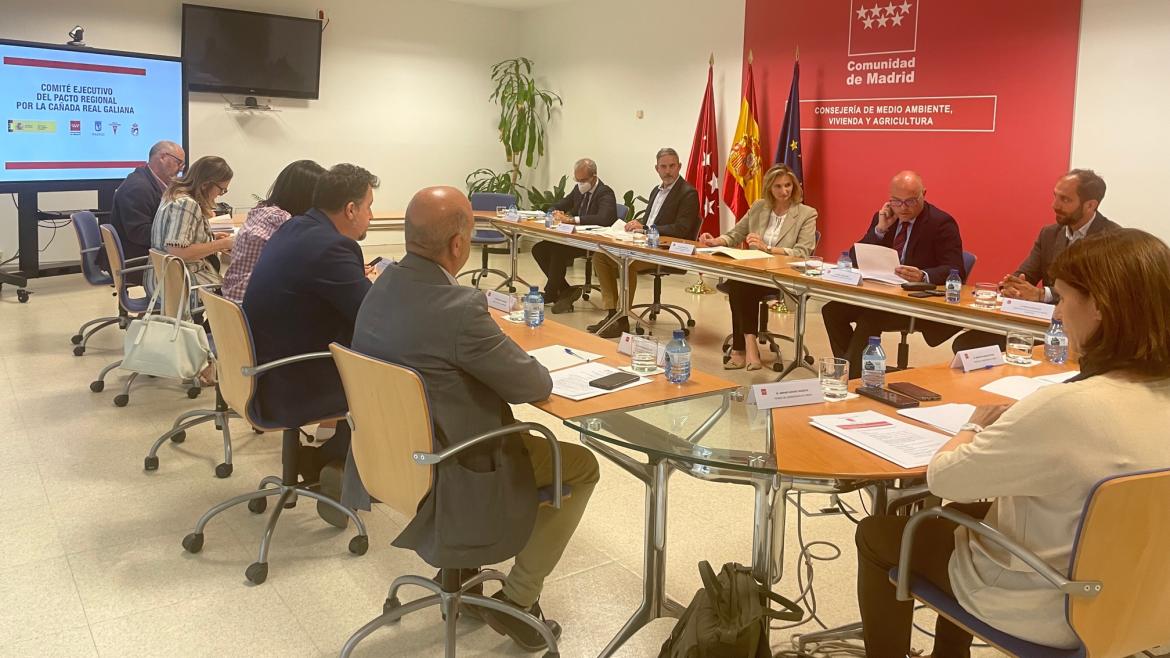 La consejera Paloma Martín durante la reunión del comité ejecutivo
