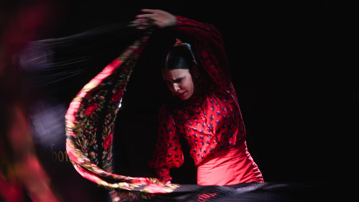 Imagen del artículo La Comunidad de Madrid acerca el flamenco a los más jóvenes con espectáculos de cante y baile gratuitos