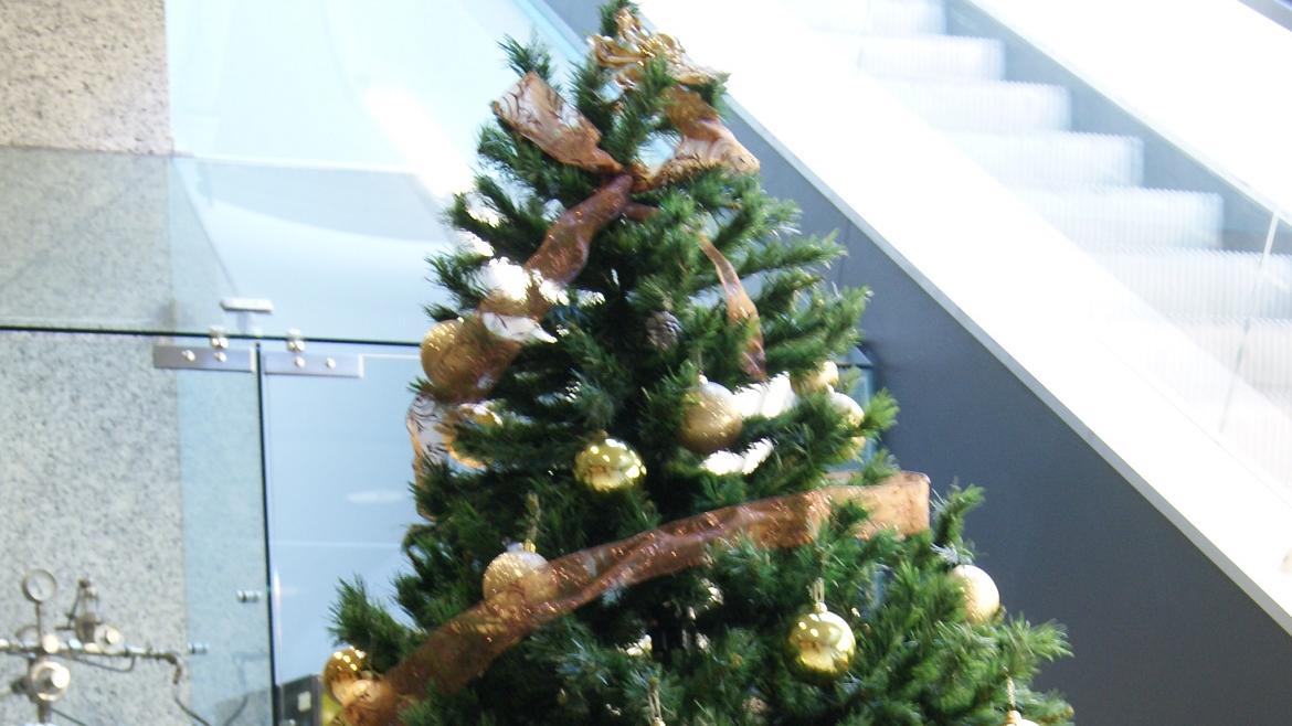 Árbol de Navidad en el Hospital Santa Cristina