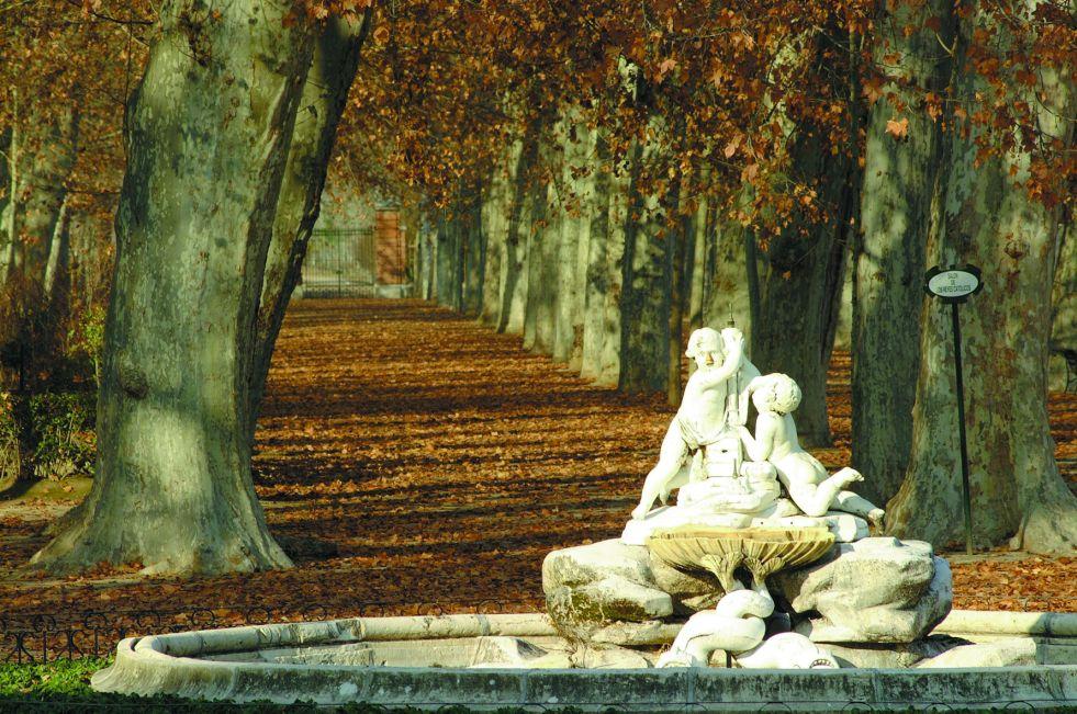 Llega el otoño. Jardines de Aranjuez