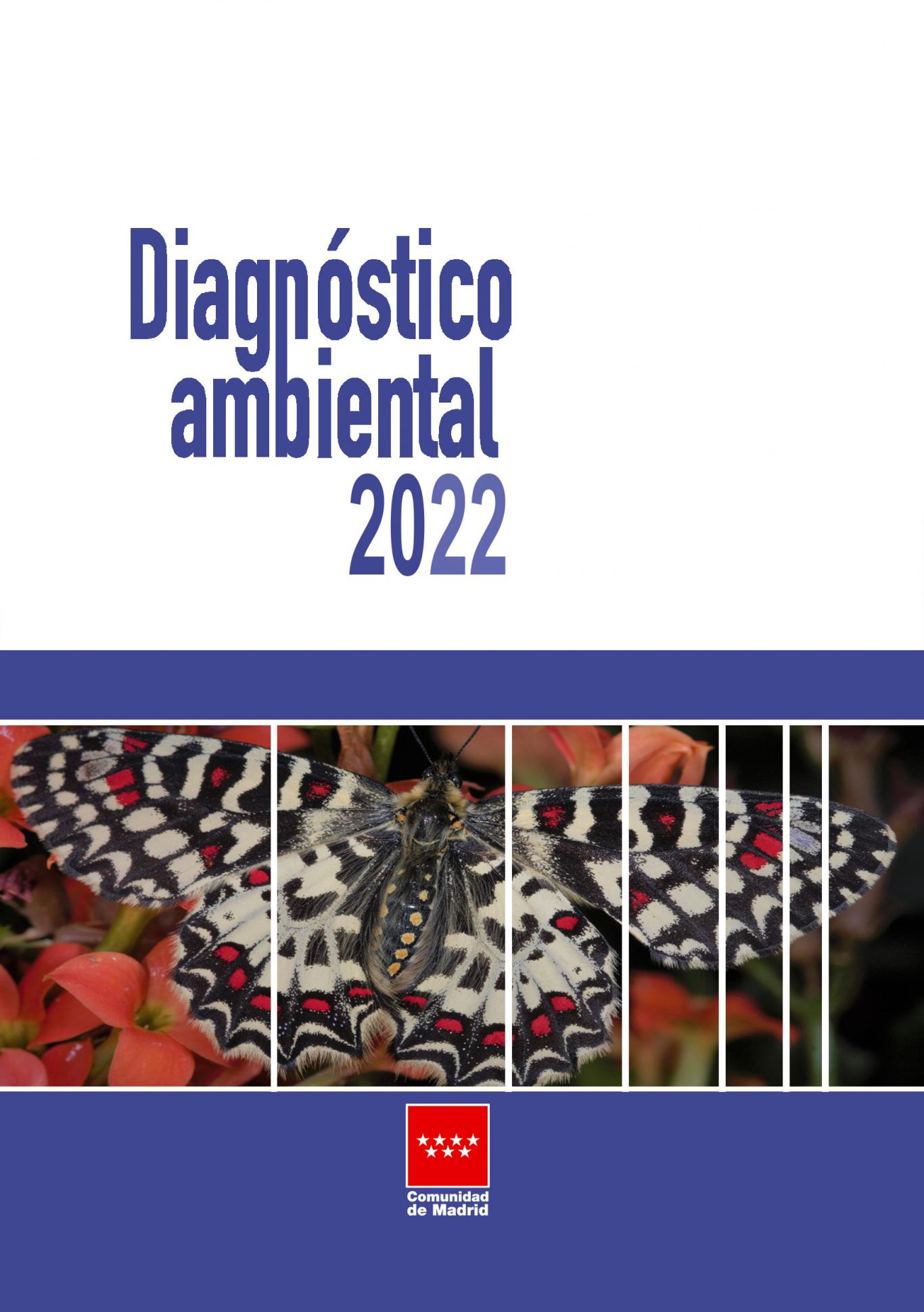 portada diagnostico 2022