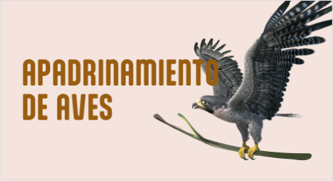Apadrinamiento de aves