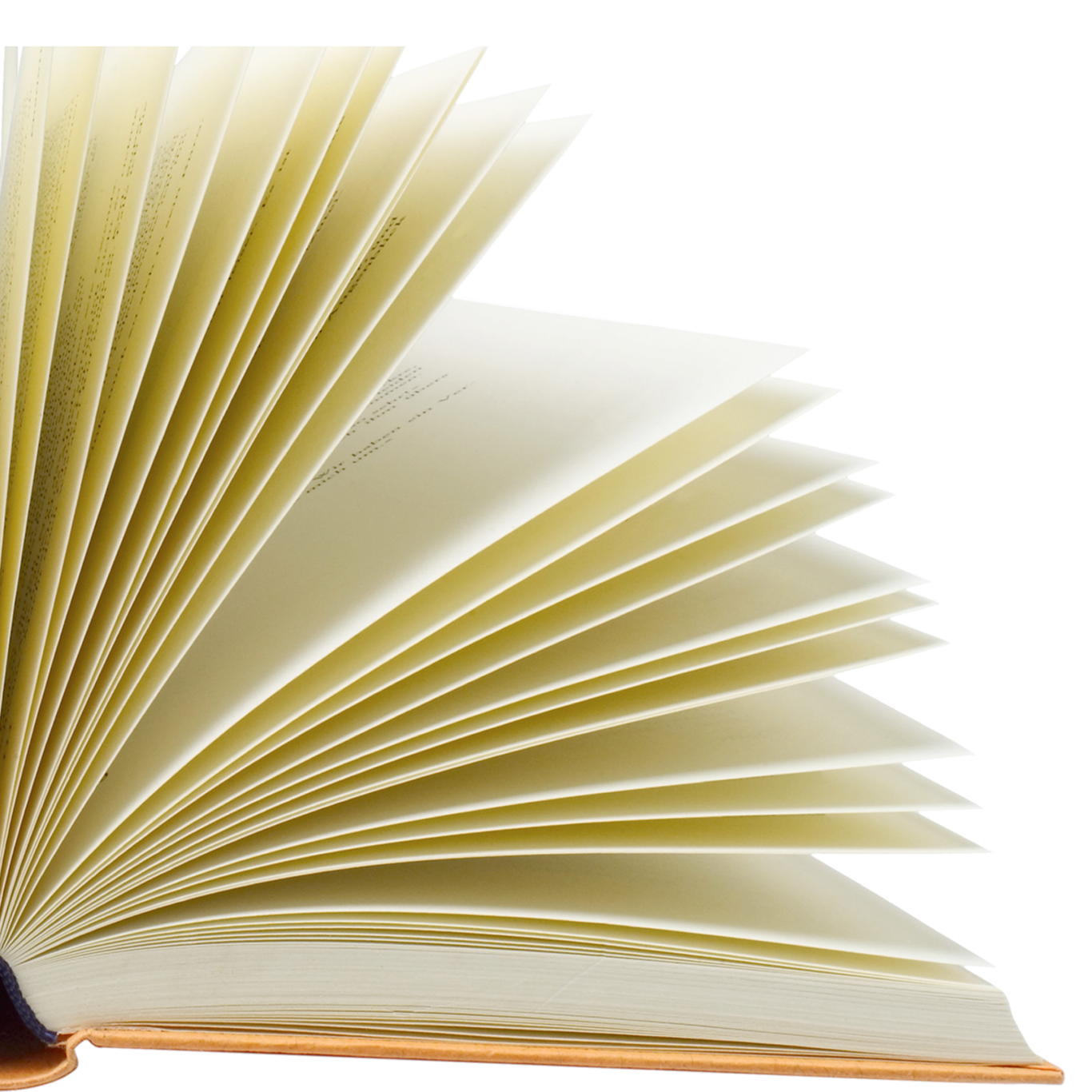 La biblioteca recomienda