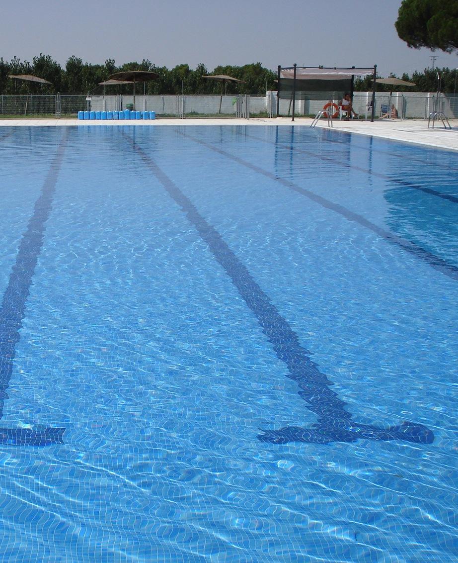 Imagen del vaso de una piscina pública