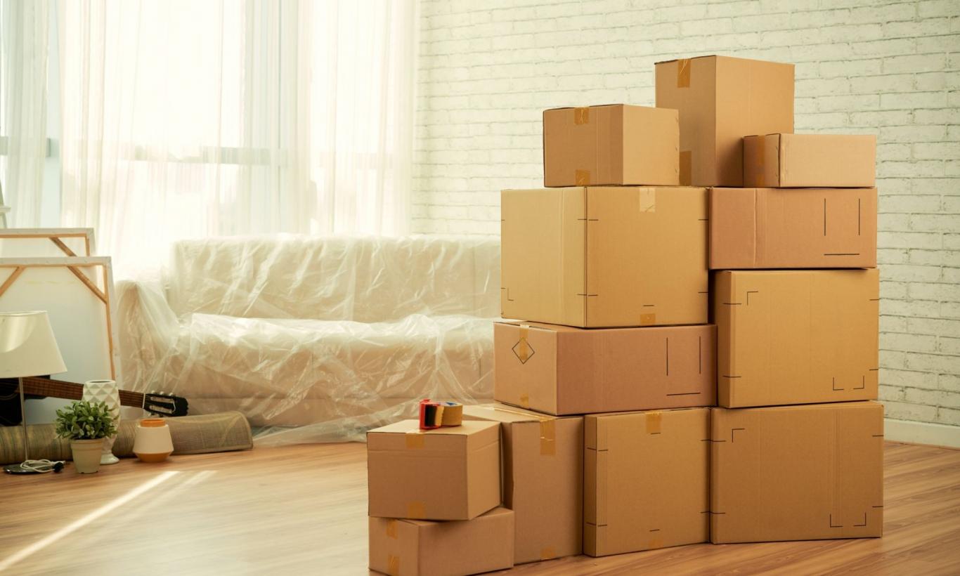 tema mudanzas consumo