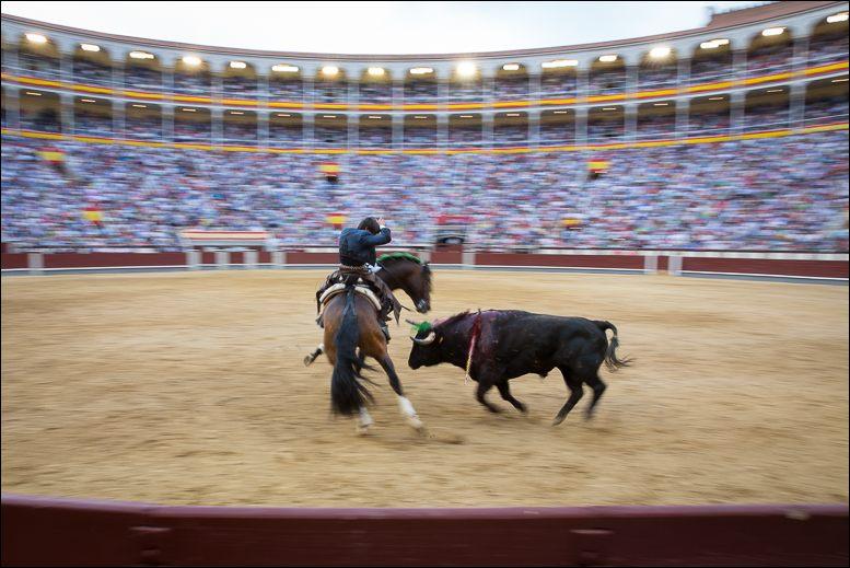 Corredor de touro virtual  Visitas a la Plaza de Toros de Las Ventas Madrid