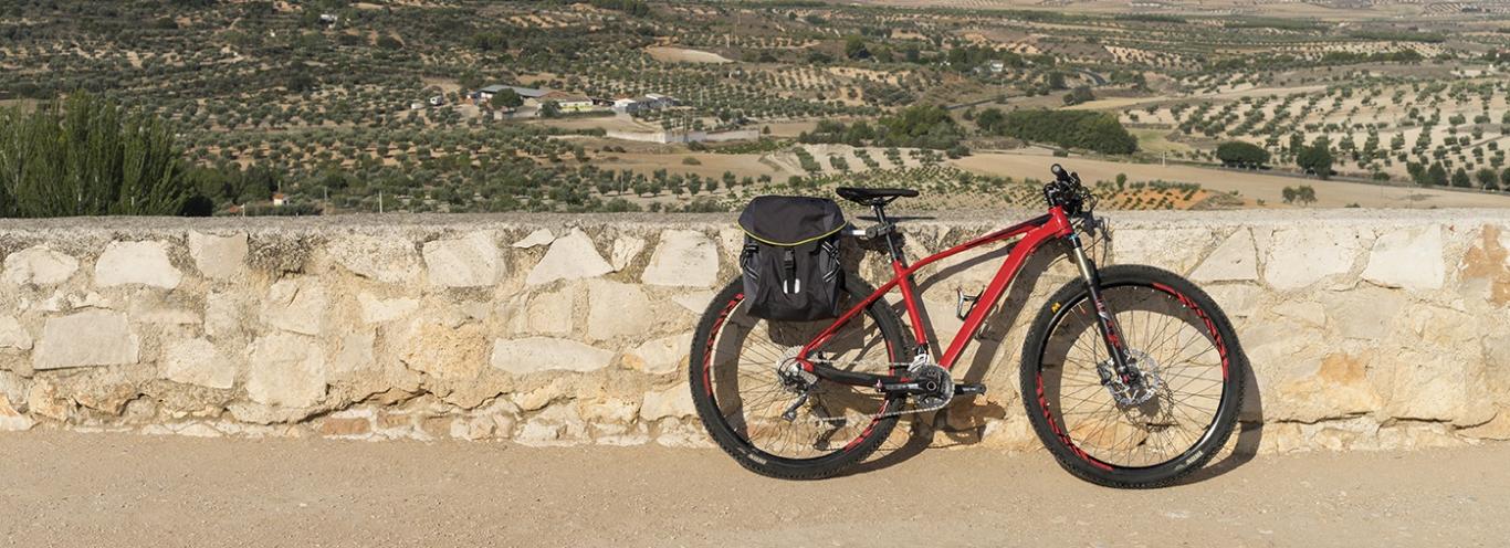 Bicicleta apoyada sobre un muro de piedra