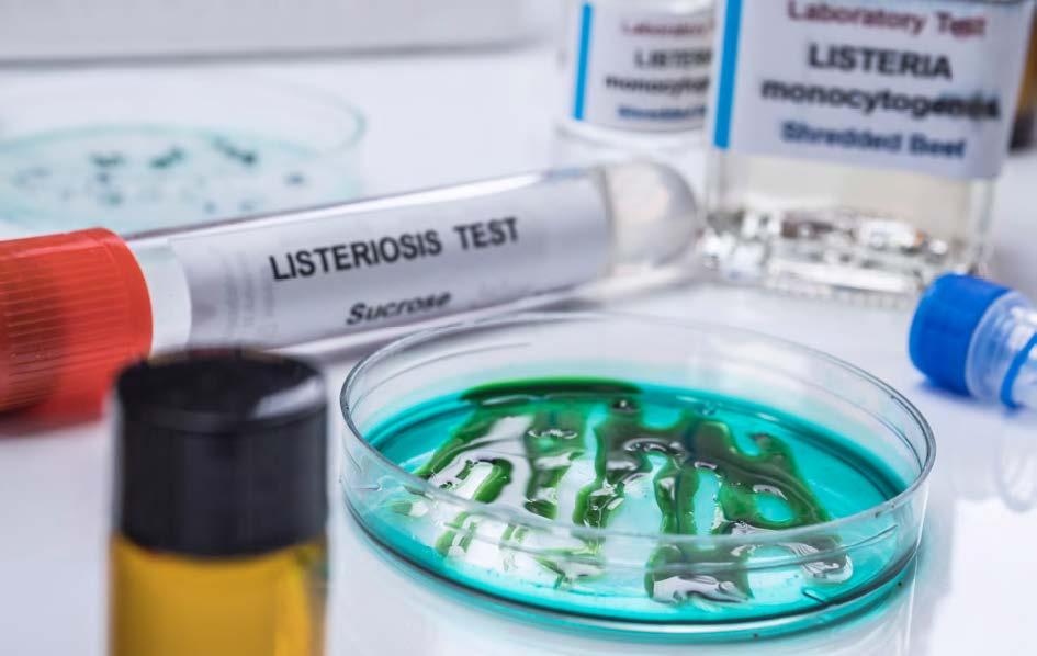 Portada de la publicación Estudios de vida útil para Listeria monocytogenes en alimentos listos para el consumo