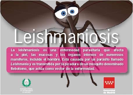 Portada de la publicación Leishmaniosis